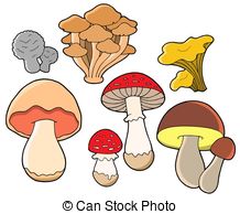 ... Various fungi collection - isolated illustration.