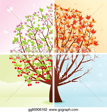 Vector - four seasons tree u0026middot; Four Seasons