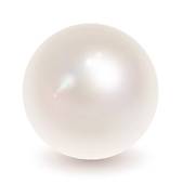 pearl shell; string pearls ..