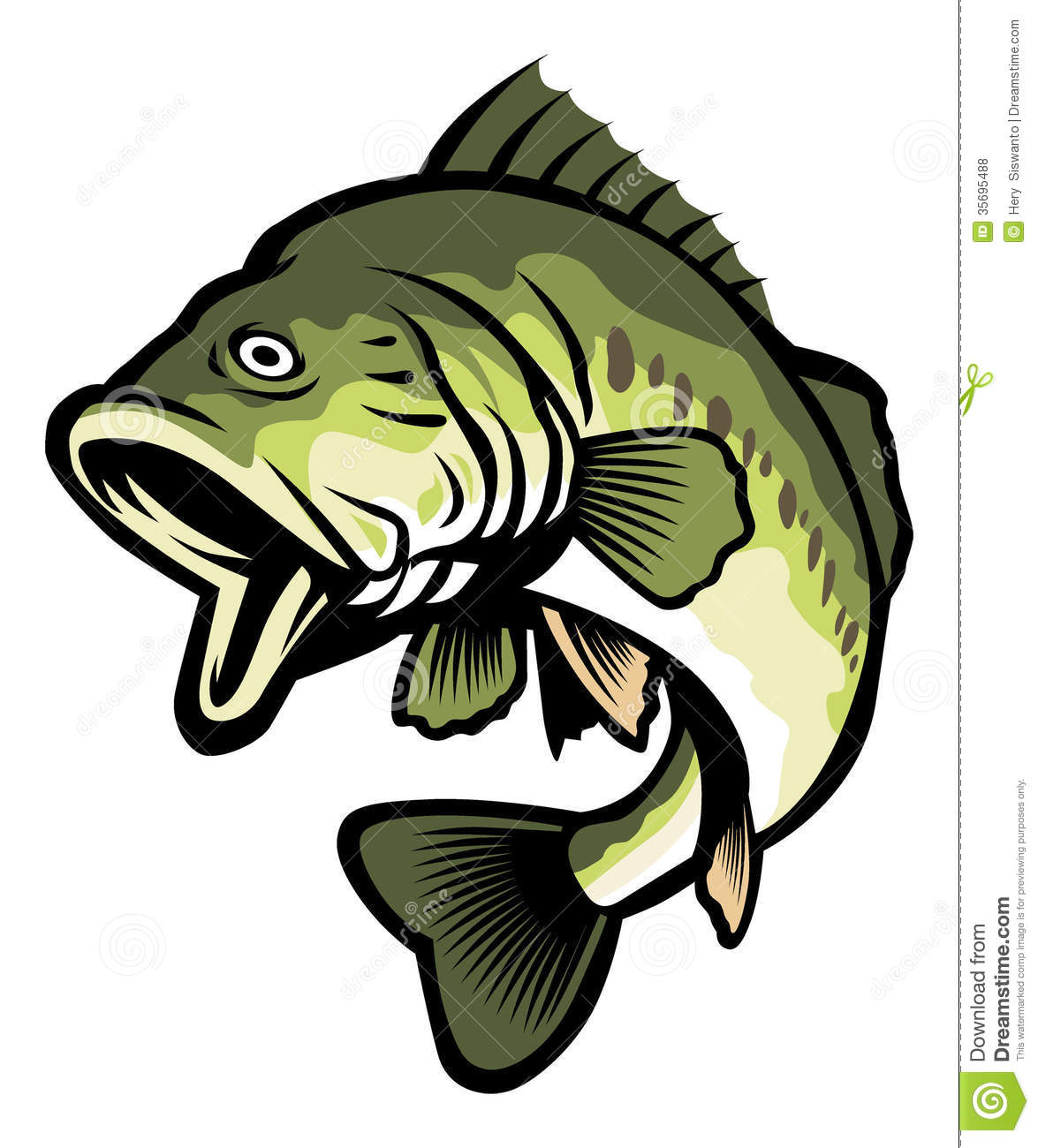 ... Bass fish - Vector Illust