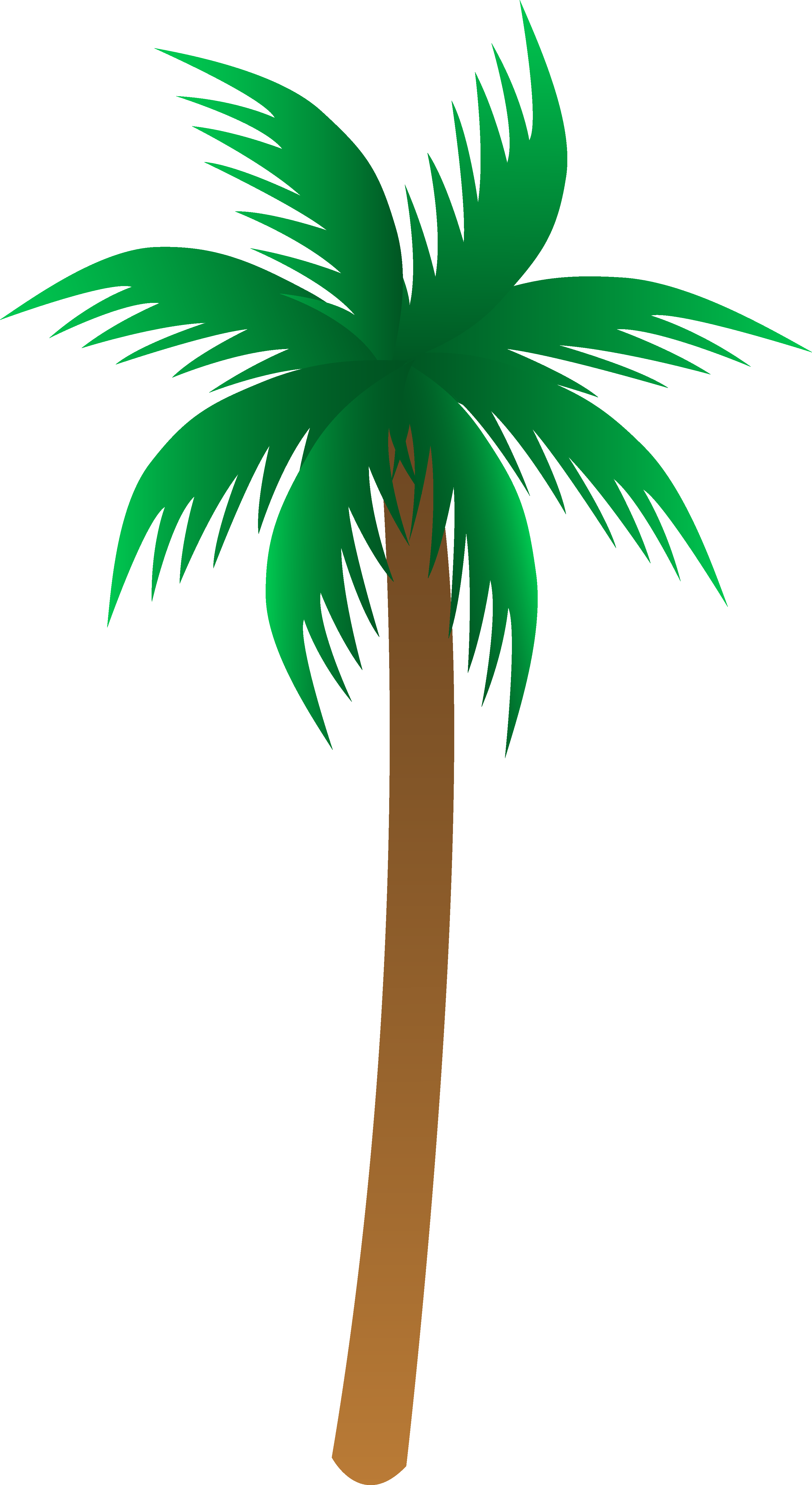 Clipart of a palm tree - Clip