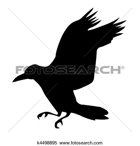 vector silhouette ravens on white background