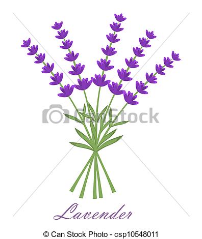 Lavender Flowers Bouquet Vect