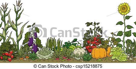 ... Vegetable garden bed on a white background vector.