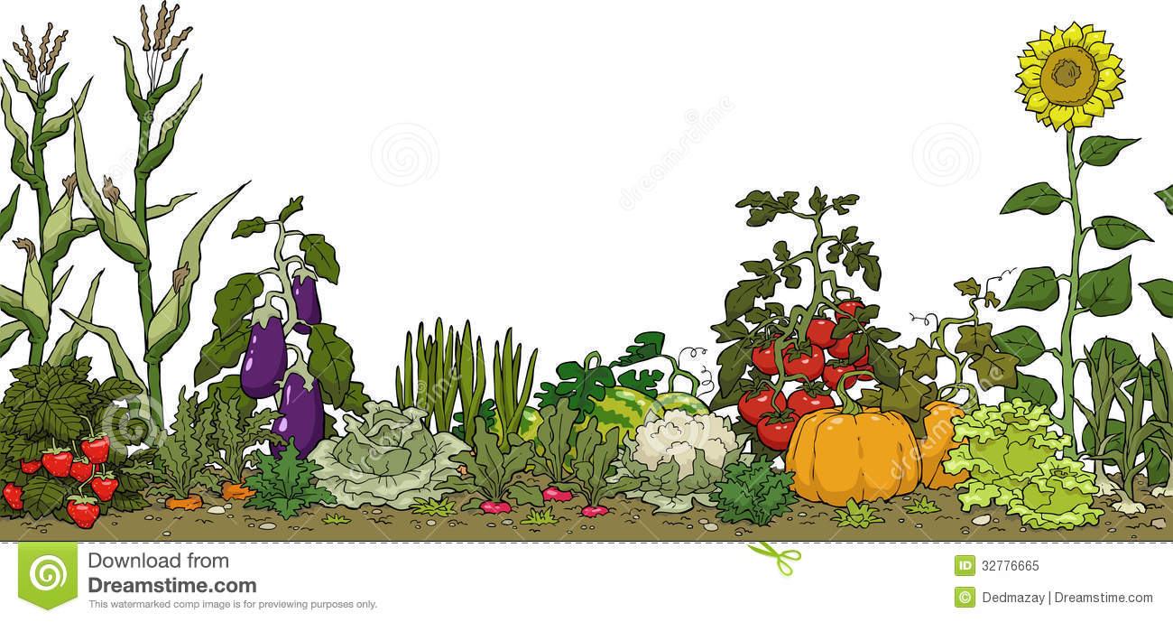 Vegetable Garden Bed Royalty Free Stock Photo Image 32776665