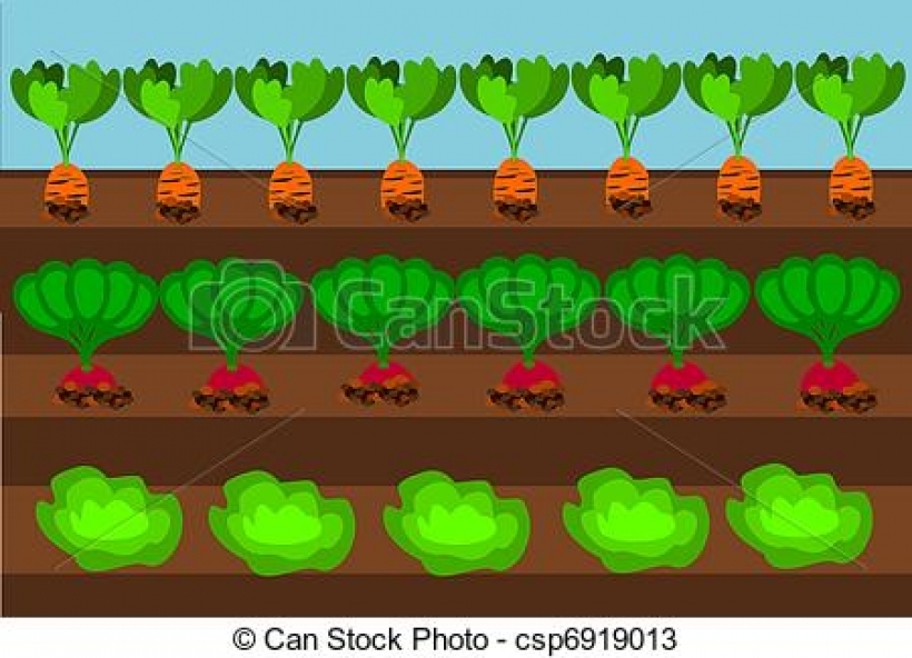 vegetable garden clipart vegetable garden clipart vector graphics 10690 vegetable garden