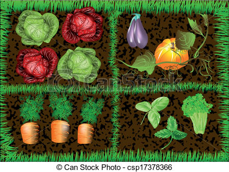 Vegetable garden Vector Clipartby EVA1052/149; vegetable garden. 10 EPS, using mesh gradient