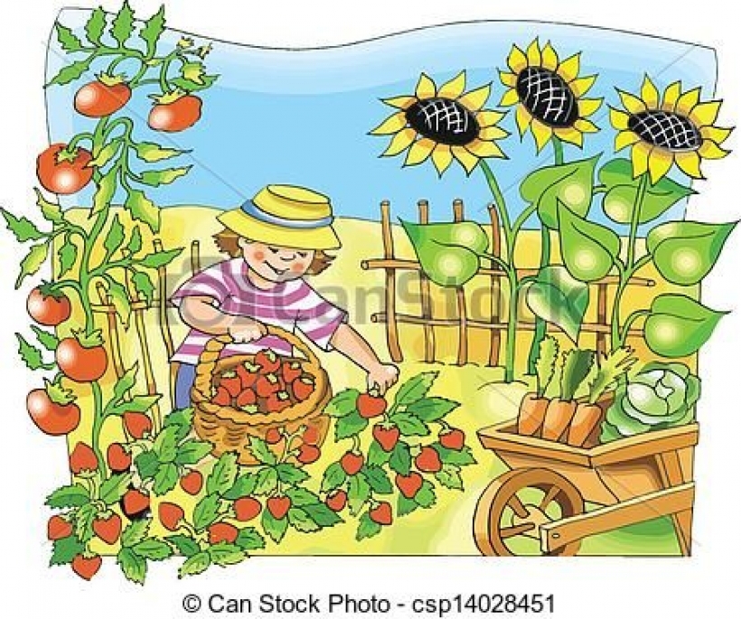 Vegetable garden clipart and