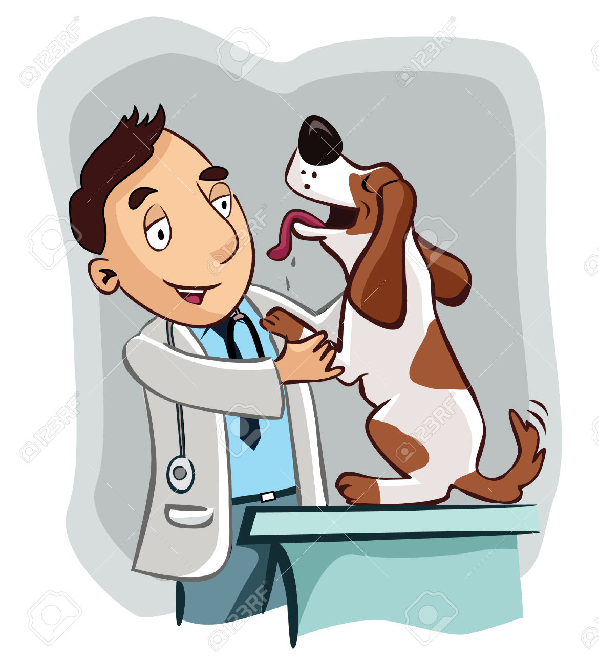 veterinarian: Animal doctor