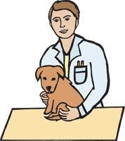 Veterinarian Clip Art Pets