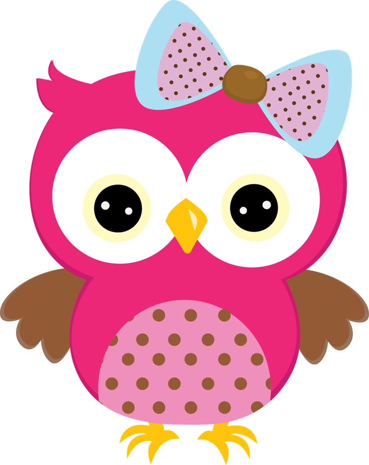 Pink Owl Clipart u0026middot;