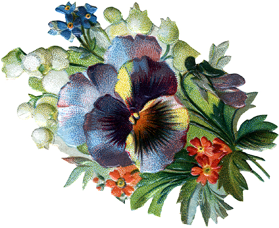 Victorian Pansy Spray from an .