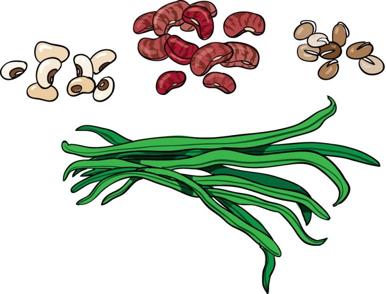 Rice And Beans Clipart