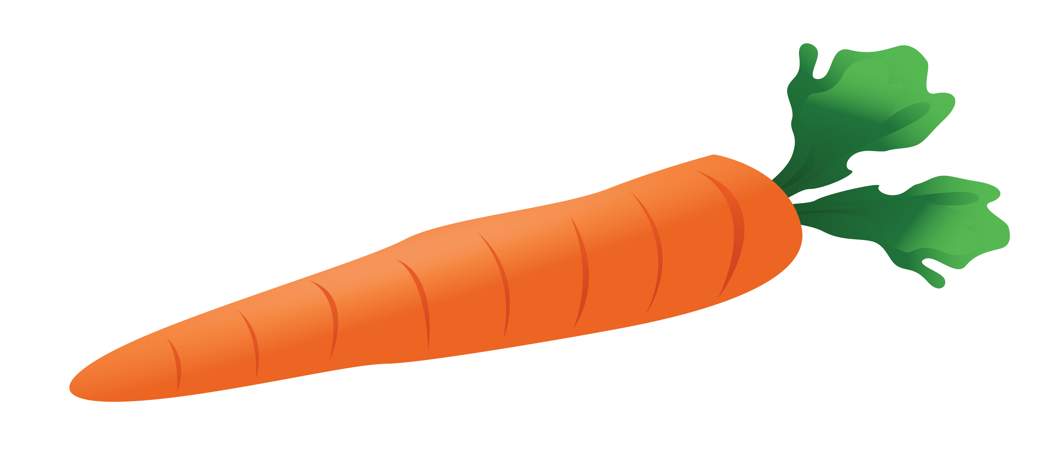 View Carrot Jpg Clipart Free  - Clip Art Carrot