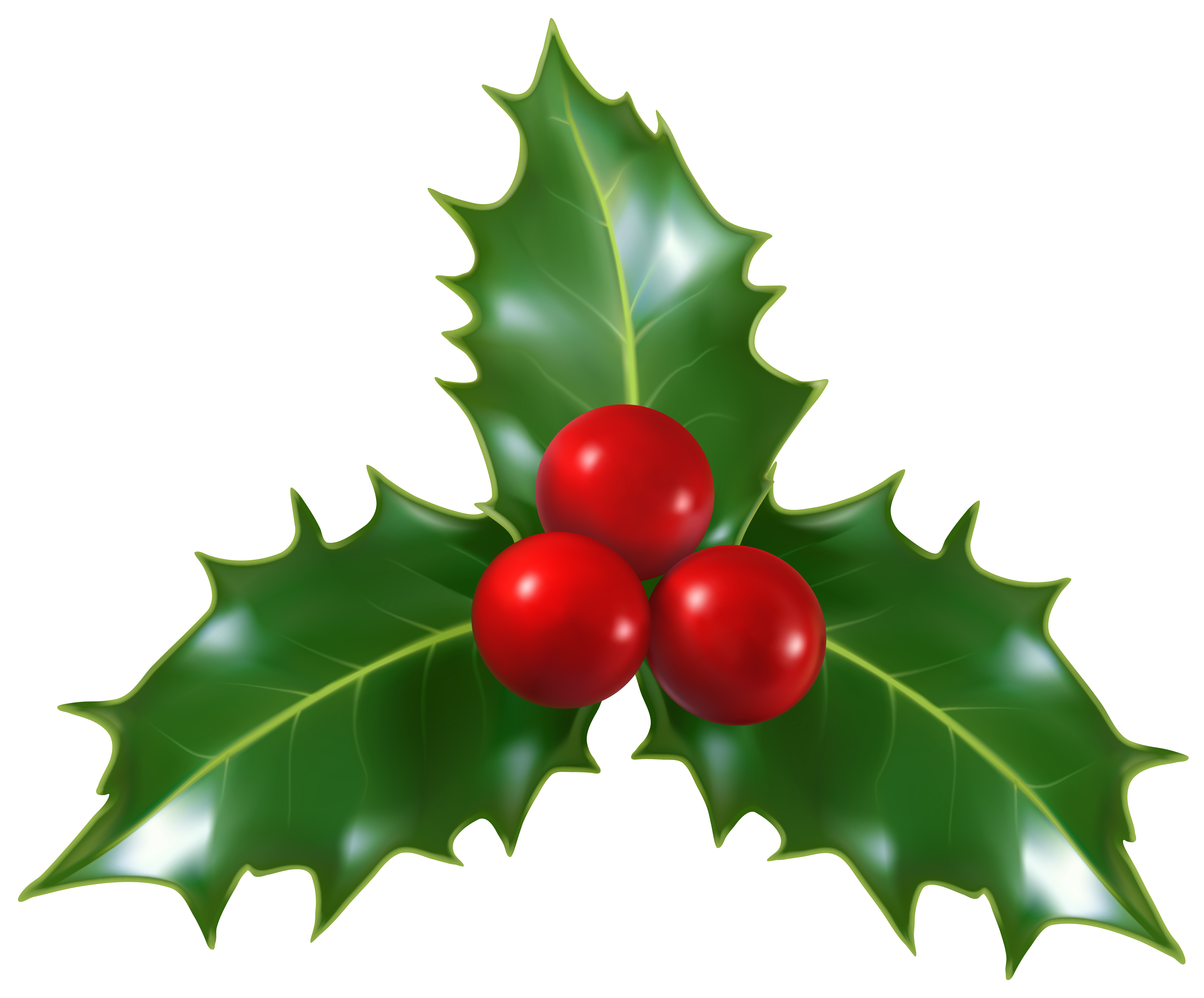 View full size ? - Christmas Holly Clipart
