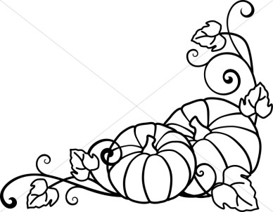 Black and White Pumpkin in