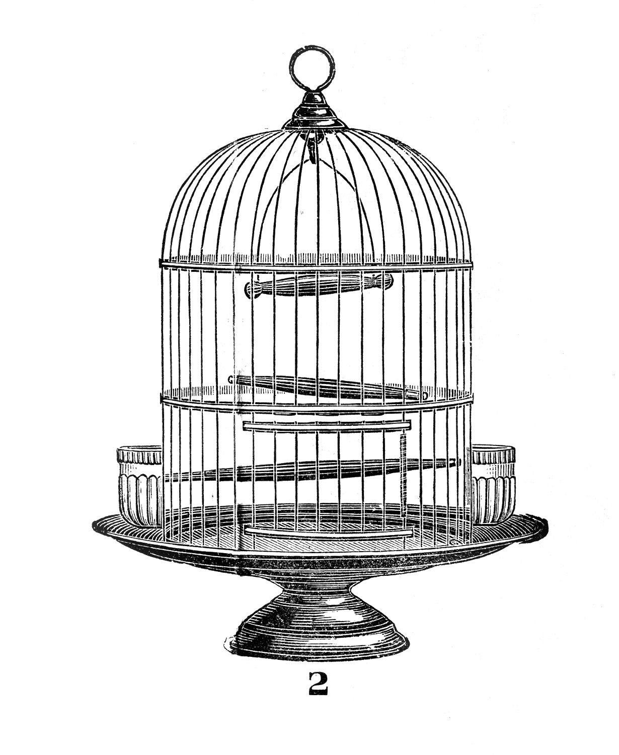 Vintage Clip Art u2013 Victorian Bird Cage