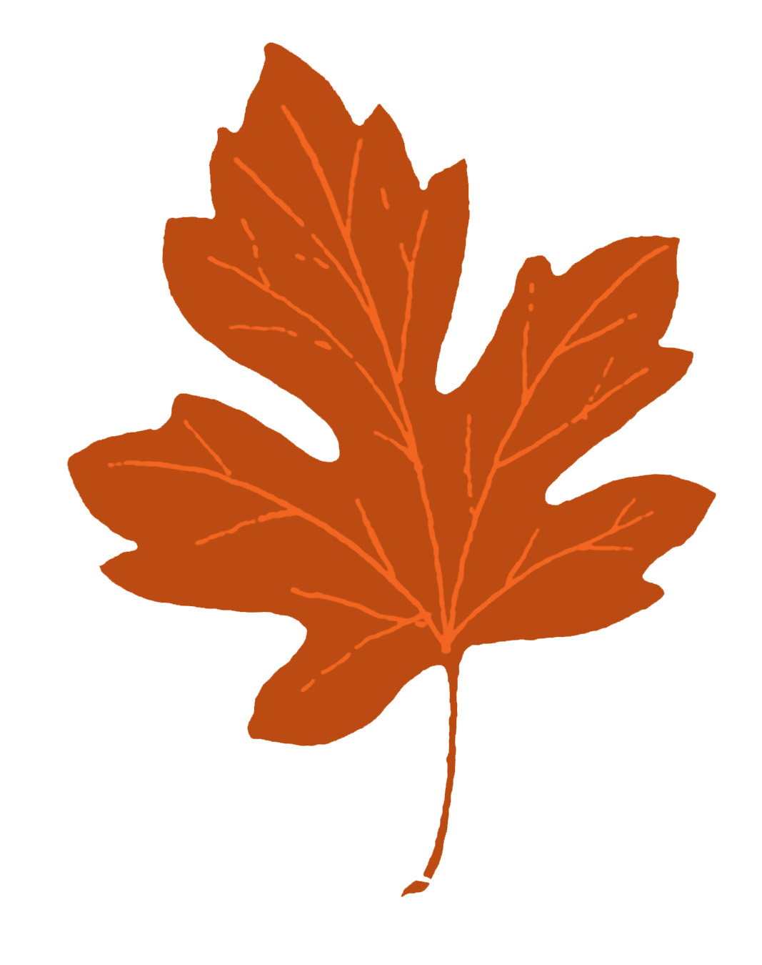 Vintage Fall Clip Art u2013 Maple Leaves