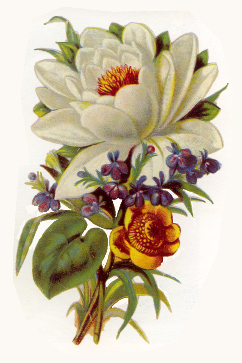 Vintage Flower Clipart - Vintage Flower Clip Art