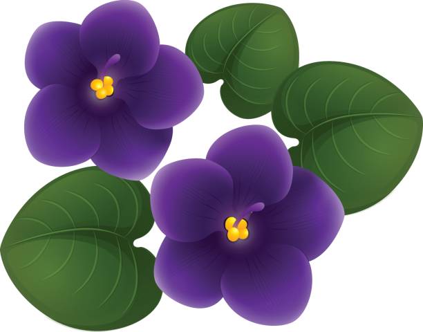 Violet Butterfly Clip Art at 