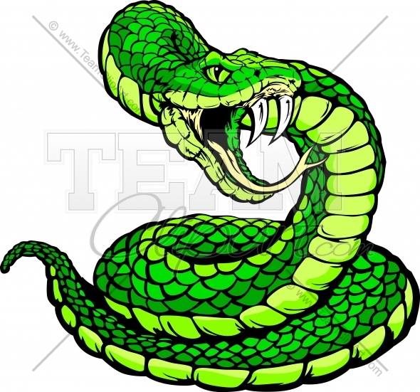 Viper Or Coiled Snake Body Vector Clipart Image Team Clipart Com