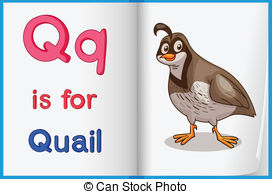 ... Vocabulary learning sheet - Quail Clipart