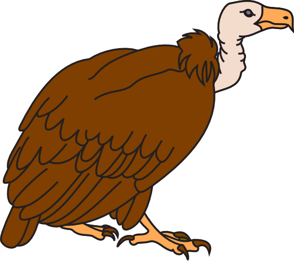 This cartoon flying vulture c