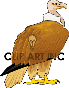 Vulture Clipart #1