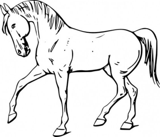 Running horse clip art at vec