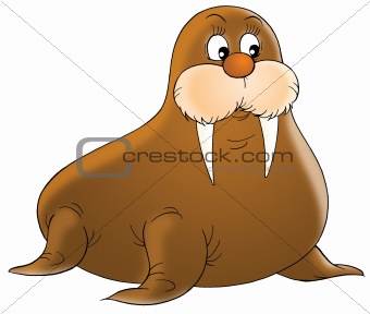 walrus clipart