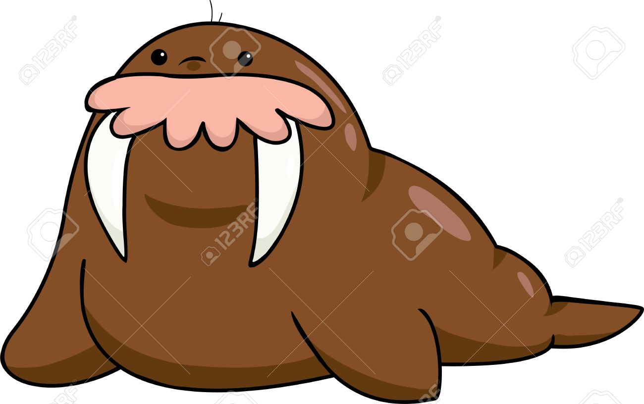 Walrus clipart cartoon #2