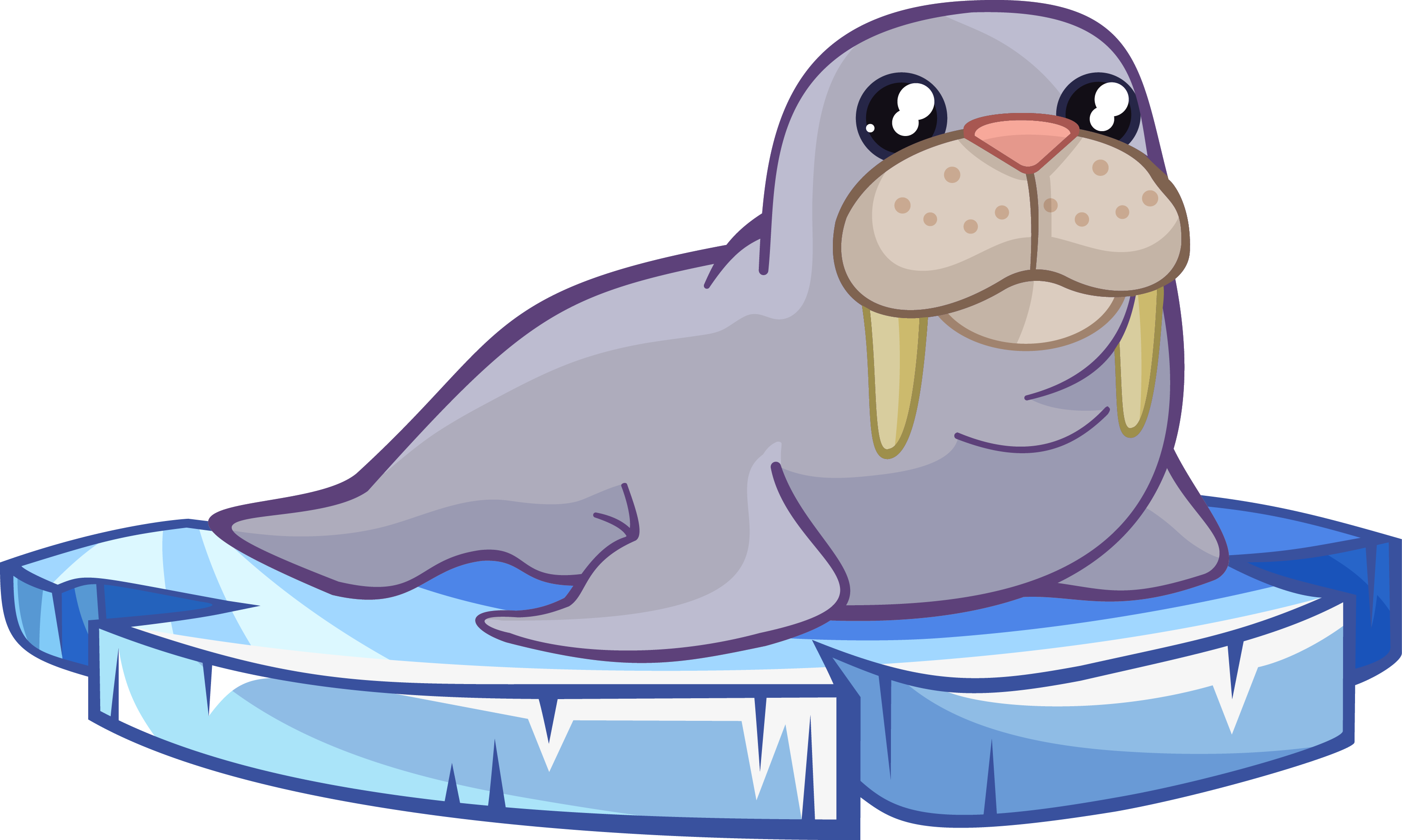 Walrus Clipart - PNG Image #6143