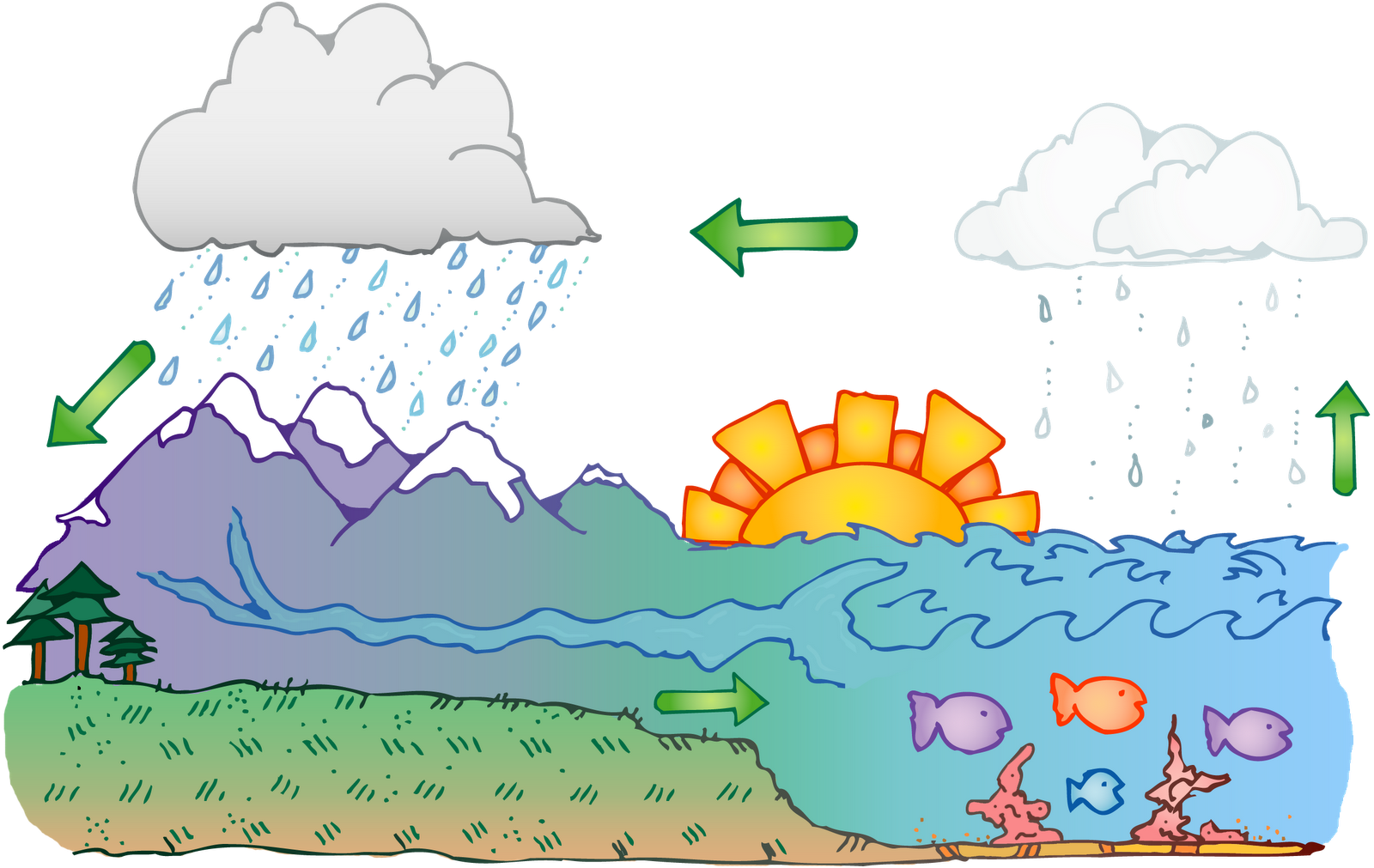 Water Cycle Classroom .
