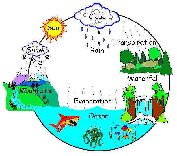 Water Cycle Clipart. Using th - Water Cycle Clip Art
