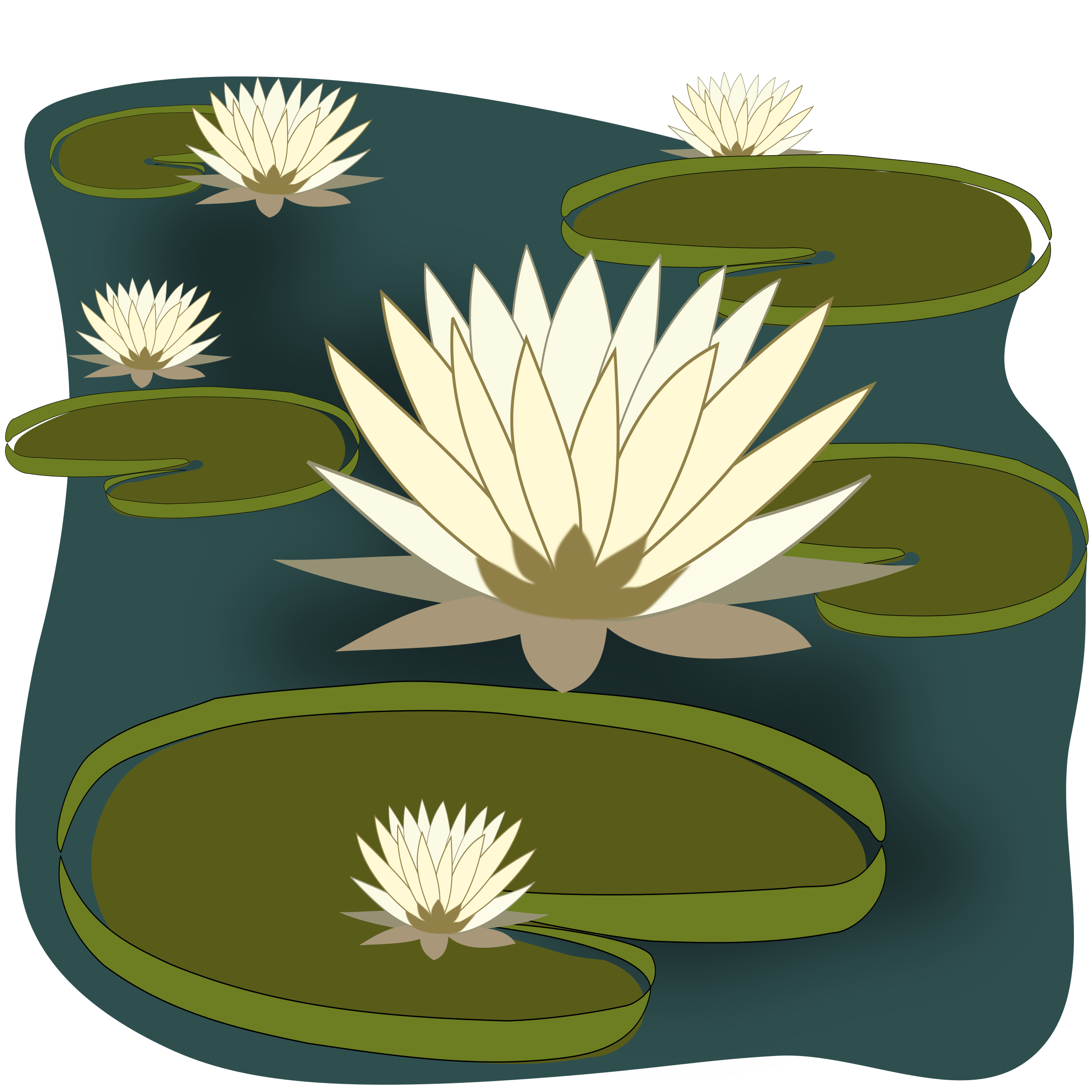 BIG IMAGE (PNG) - Water Lily Clipart