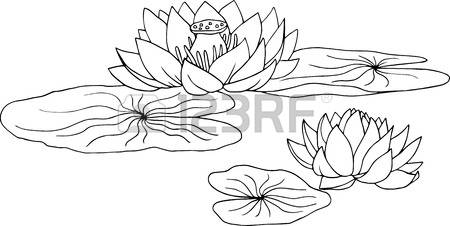 Water Lily Clipart 3 Station