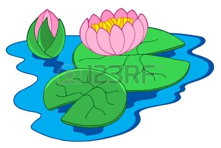 Pink water lilies - vector il - Water Lily Clipart