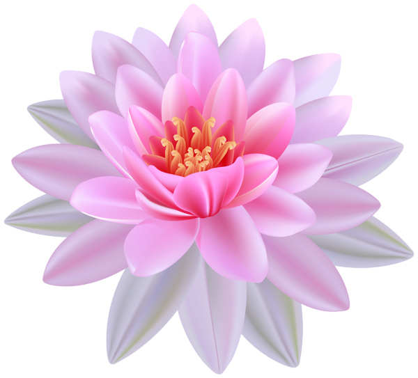 Pink Water Lily PNG Clipart I - Water Lily Clipart