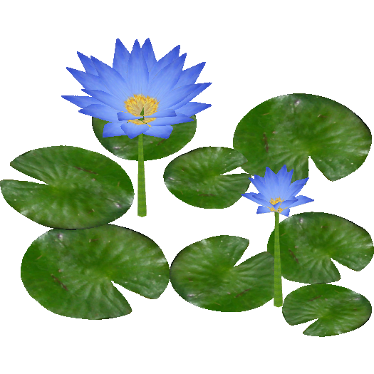 Water Lily PNG Clipart - Water Lily Clipart