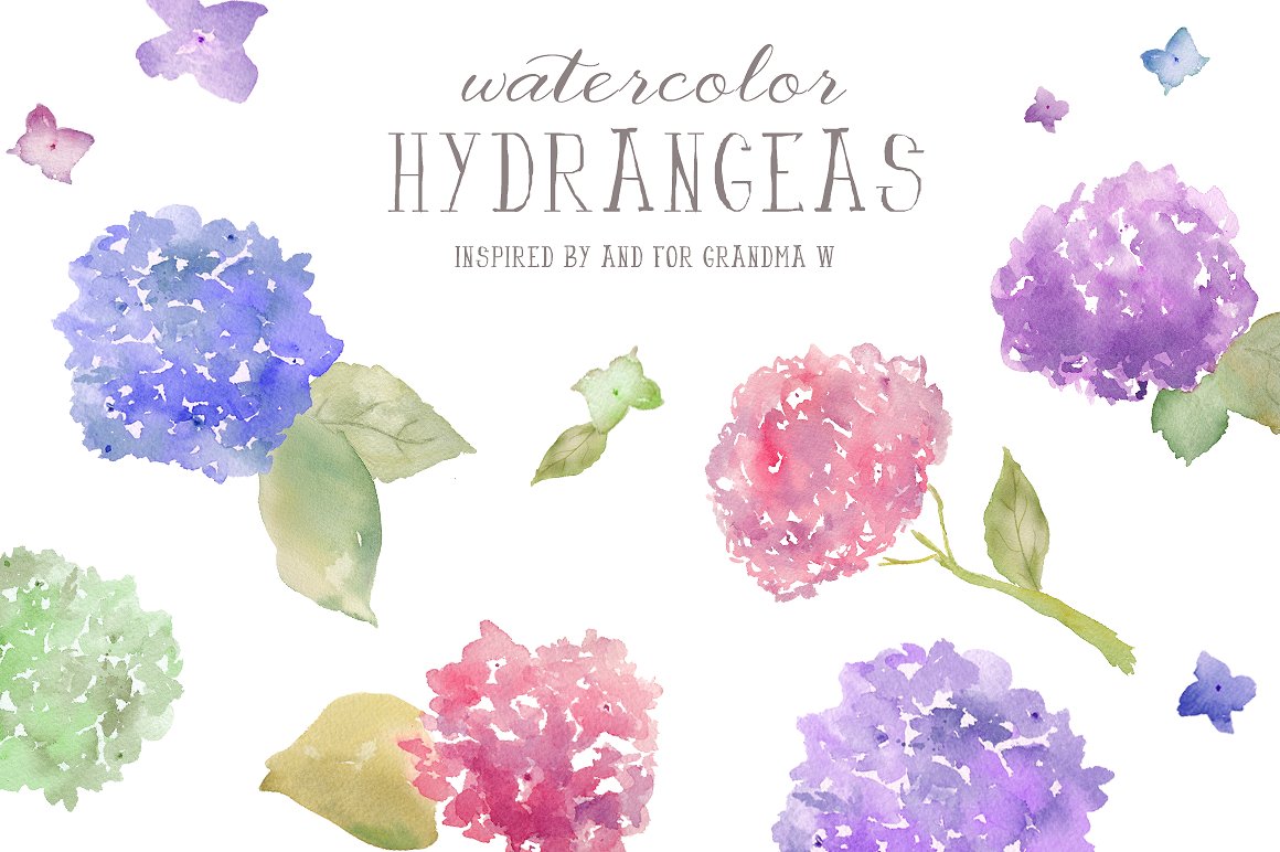 Watercolor Clip Art- Hydrangeas