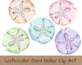 Watercolor Clip Art, Ocean, Sea, Sand Dollar