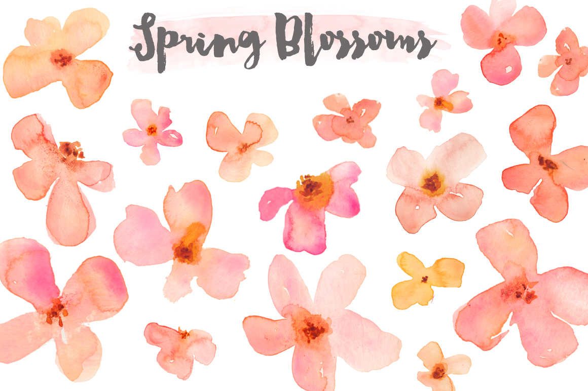 Watercolor Clipart u2013 Spring Flower Blossoms