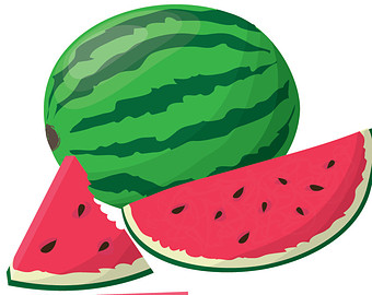 watermelon slice clipart