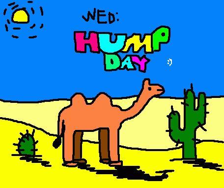 Wednesday Hump Day Clipart