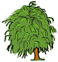 Weeping Willow Tree Clip Art. Weeping Willow .