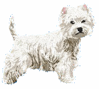 Westie dog graphics - Westie Clipart