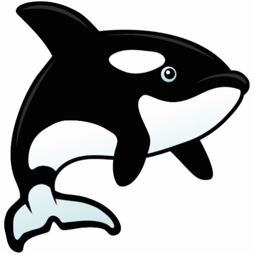 killer whale cartoon; killer 