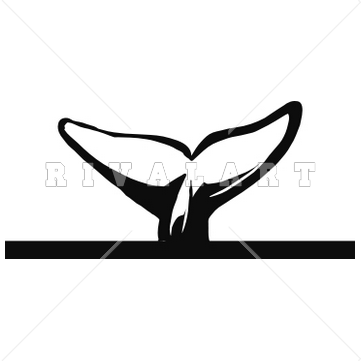 Whale Tail Stock Illustration