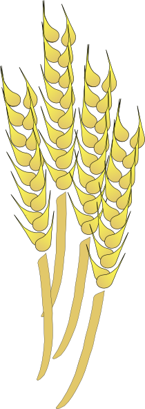 Wheat Clip Art At Clker Com V - Clipart Wheat