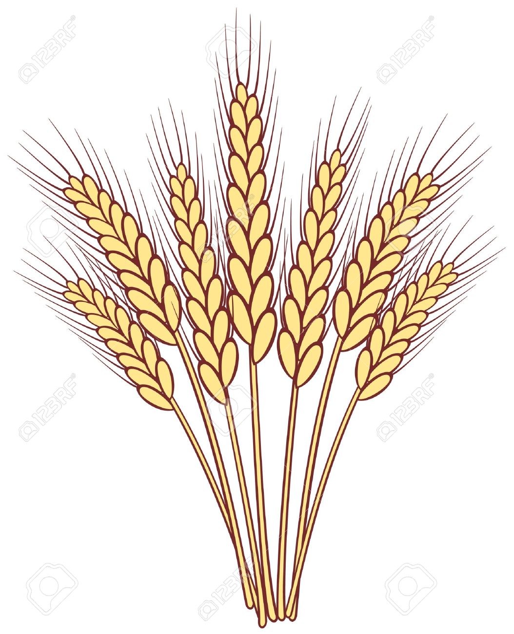 Clipart wheat stalk - Clipart